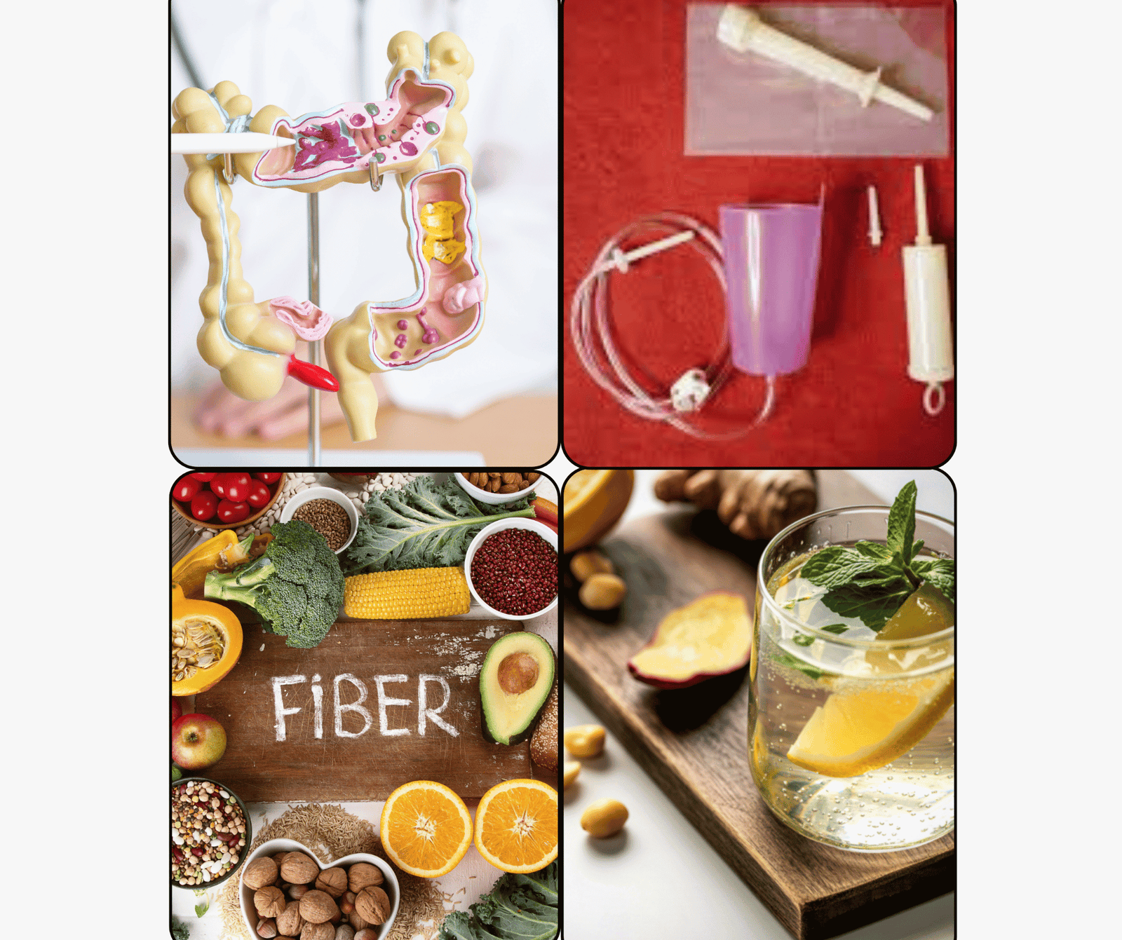 full body organ detox