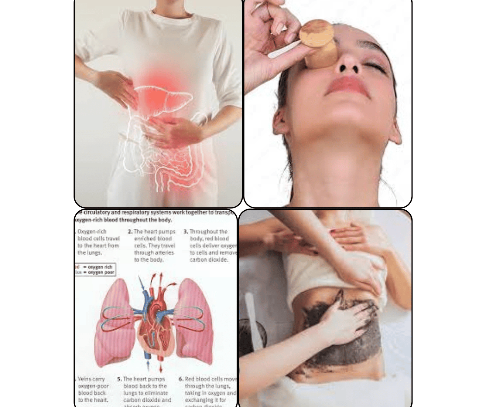 full body organ detox